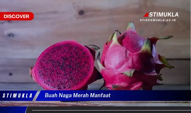 buah naga merah manfaat buah naga merah manfaat