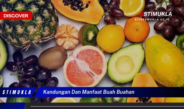 kandungan dan manfaat buah buahan kandungan dan manfaat buah buahan