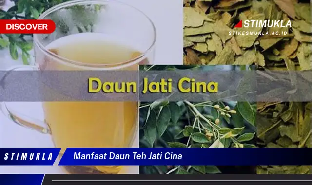 manfaat daun teh jati cina manfaat daun teh jati cina